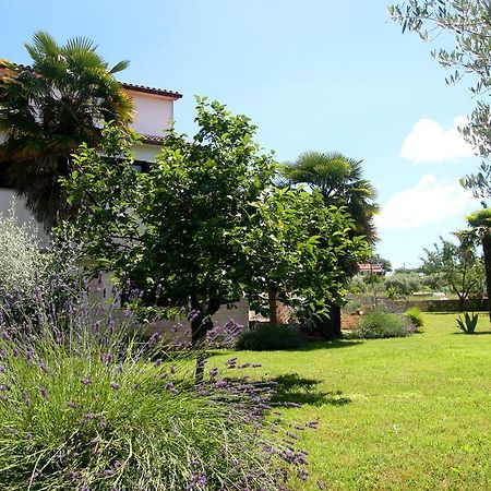 Korsa Apartment Sveti Lovreč Pazenatički Exterior foto