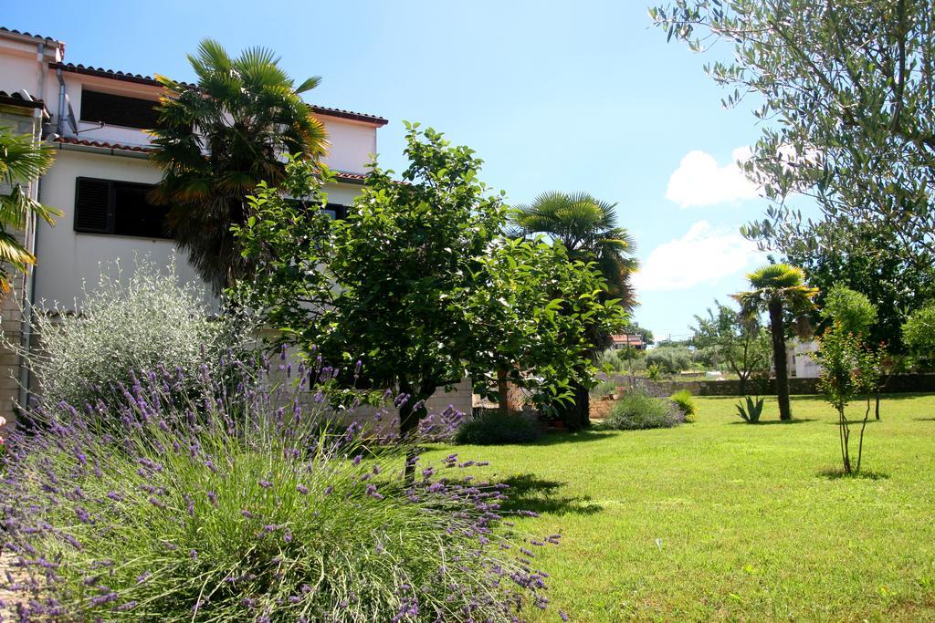 Korsa Apartment Sveti Lovreč Pazenatički Exterior foto